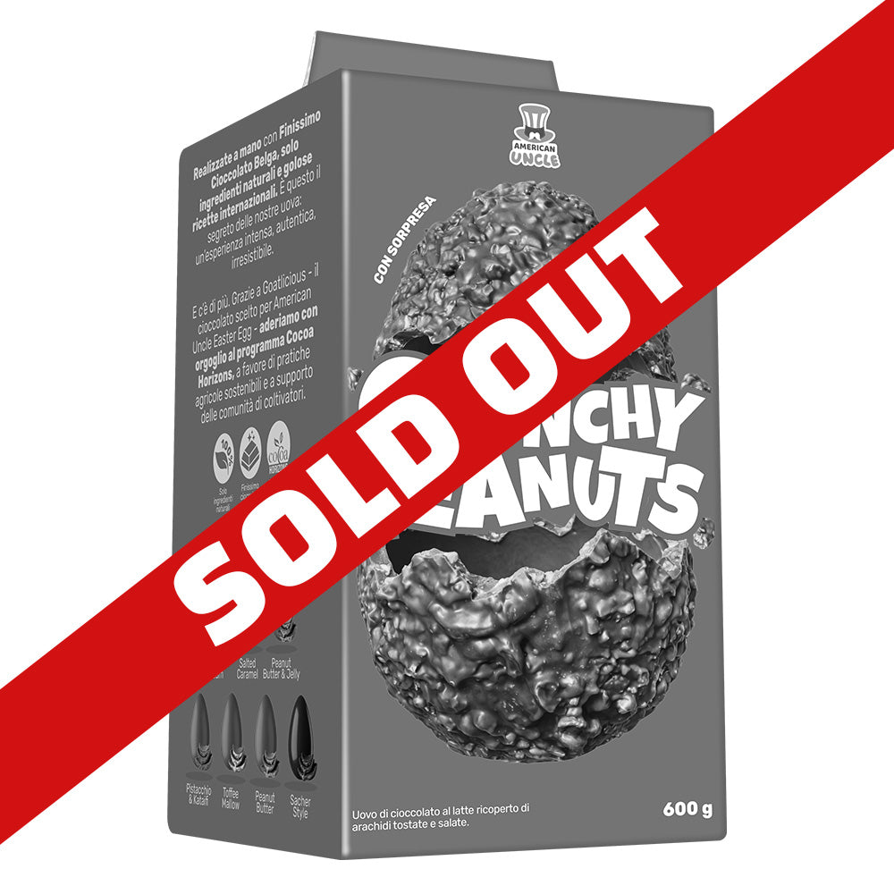 AU Crunchy Peanuts Easter Egg, œuf de Pâques en chocolat au lait recouvert de cacahuètes grillées salées de 600g 